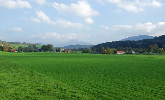 Ferien in Miesbach im Miesbach, Hotels, Apartments